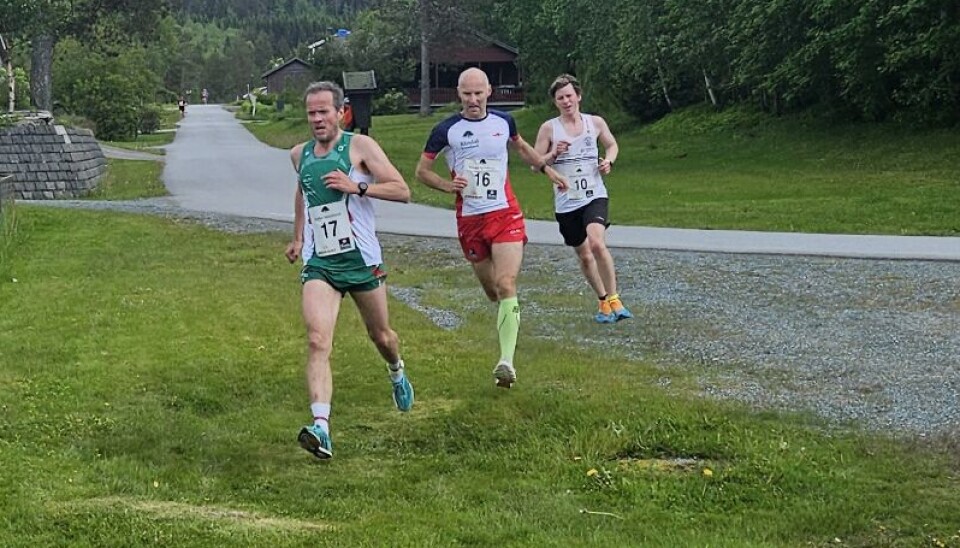 Ole Arnold Sødal, Kyrksæterøra IL på vei inn mot passering tre km, tett fulgt av Arnt-Inge Nilsen, Rindal Il og Andreas Lystad Svorkdal, Svorkmo N.O.I. Løpere løper forbi et gjerde