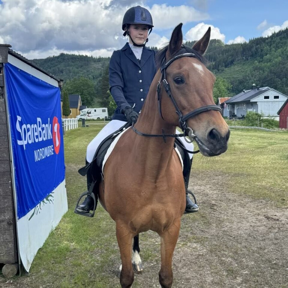 Othelie Sundli og Cheyenne på stevne for første gang. Jente på brun hest.