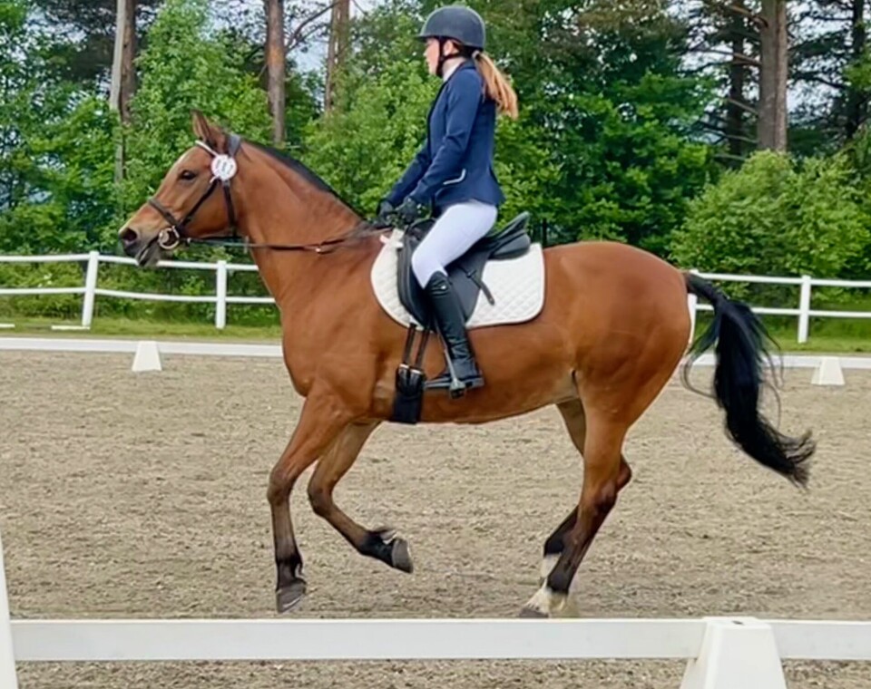 Othelie Sundli i fin flyt med hesten Cheyenne. Jente på brun hest i galopp