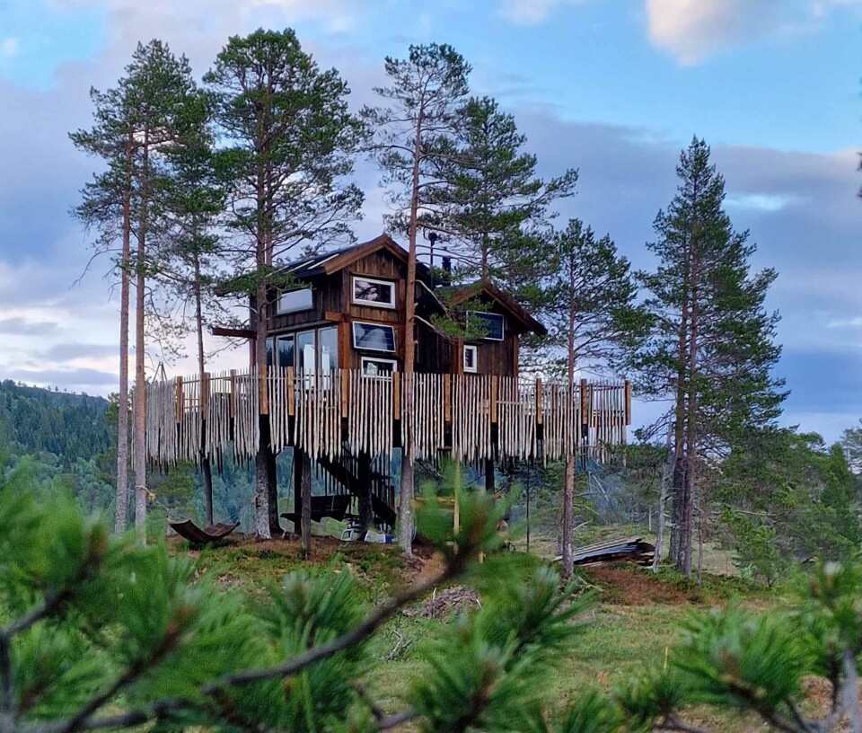 Romundstad Tretopppanorama Bilde av hytte i et tre