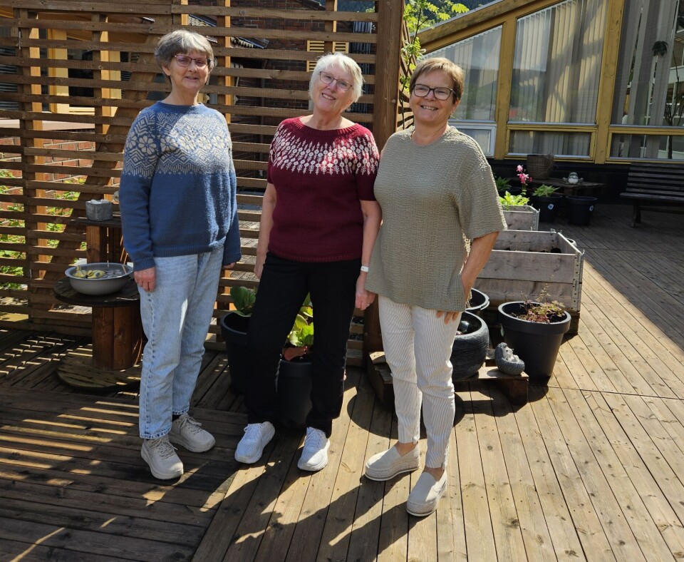 Styret i Venneforeningen for Surnadal Sjukeheim: Gurå Fiske Strand, Oddny Hoem og Britt May Hollås