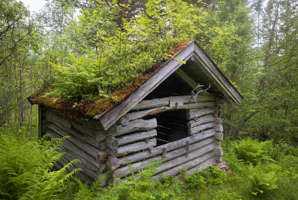 Gammal og vakker løe. Ei gammel høyløe i marka.