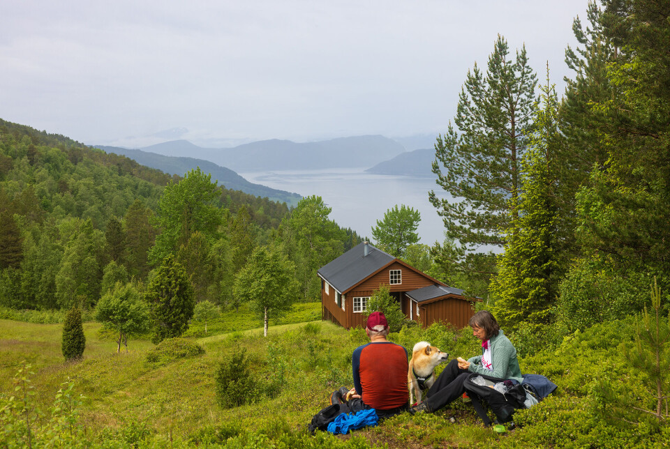 Matpause for både firbeinte og tobeinte ved Strandasetra. To turkledde personer og en hund som tar en rast ved ei hytte i marka.