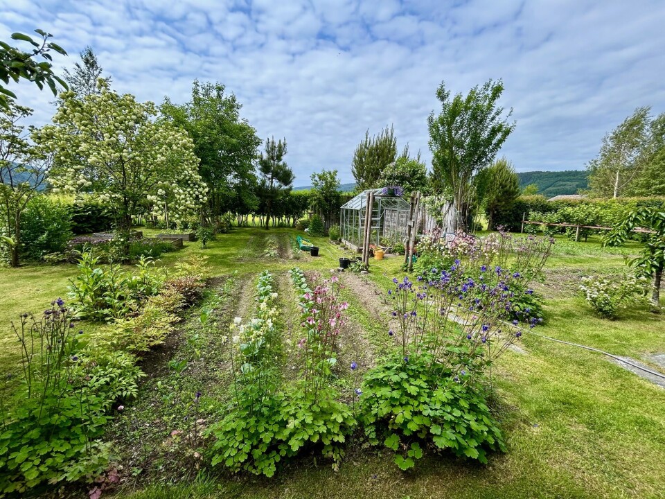 Det krever mangfoldige timer å holde en slik hage. Men paret sier de er samstemte om at de trives best hjemme. Blomster og grønnsaksåkre