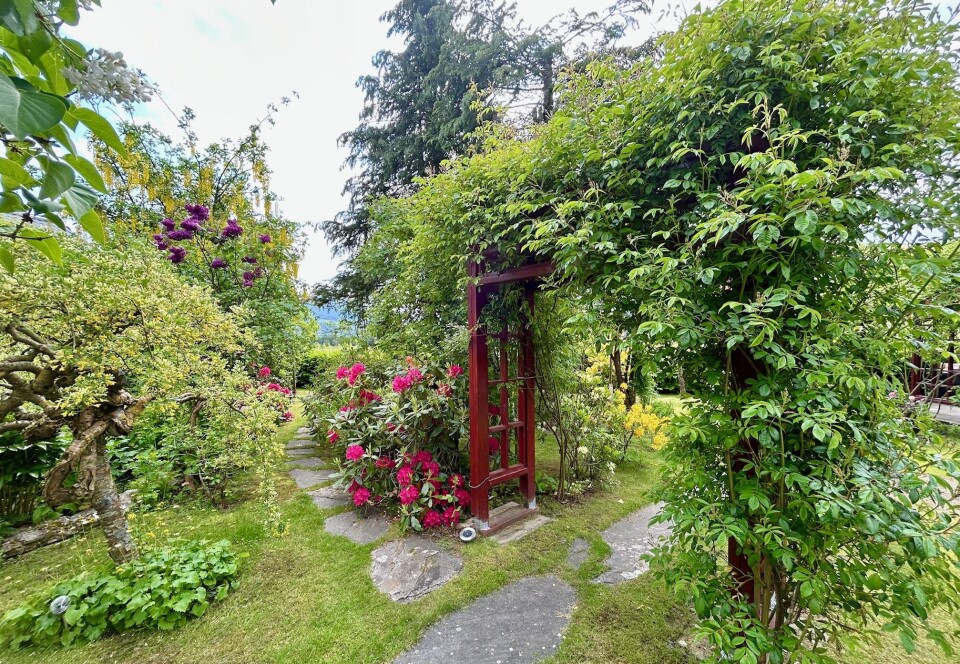Om ikke lenge blomstrer roser og klematis, da blir det om mulig enda flottere i hagen! Stor buegang med klematis over
