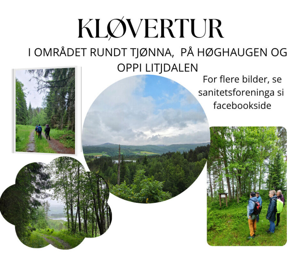 Minikløvertur til Høghaugen og Litjdalen