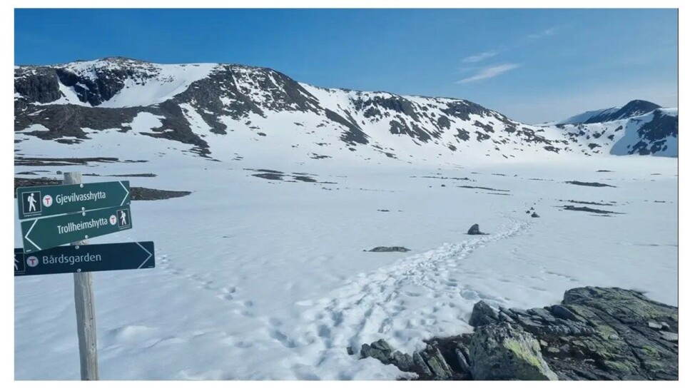 Mellomfjellet 15.juni