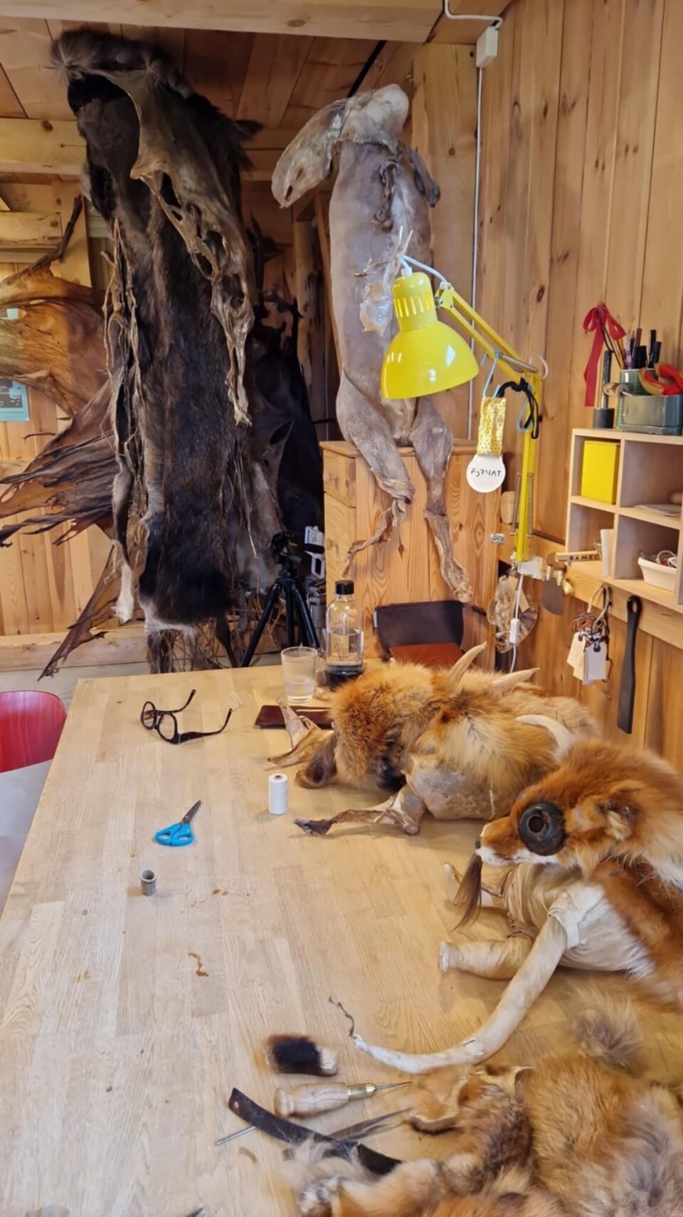 Spennande å få sjå inn i skinnverkstaden i Todalen Skinn til bearbeding på bord og vegger
