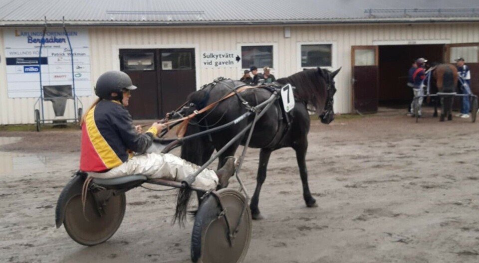 Lene og Søyset Norah. En travhest med sulkey og kusk inne på et stallområde.
