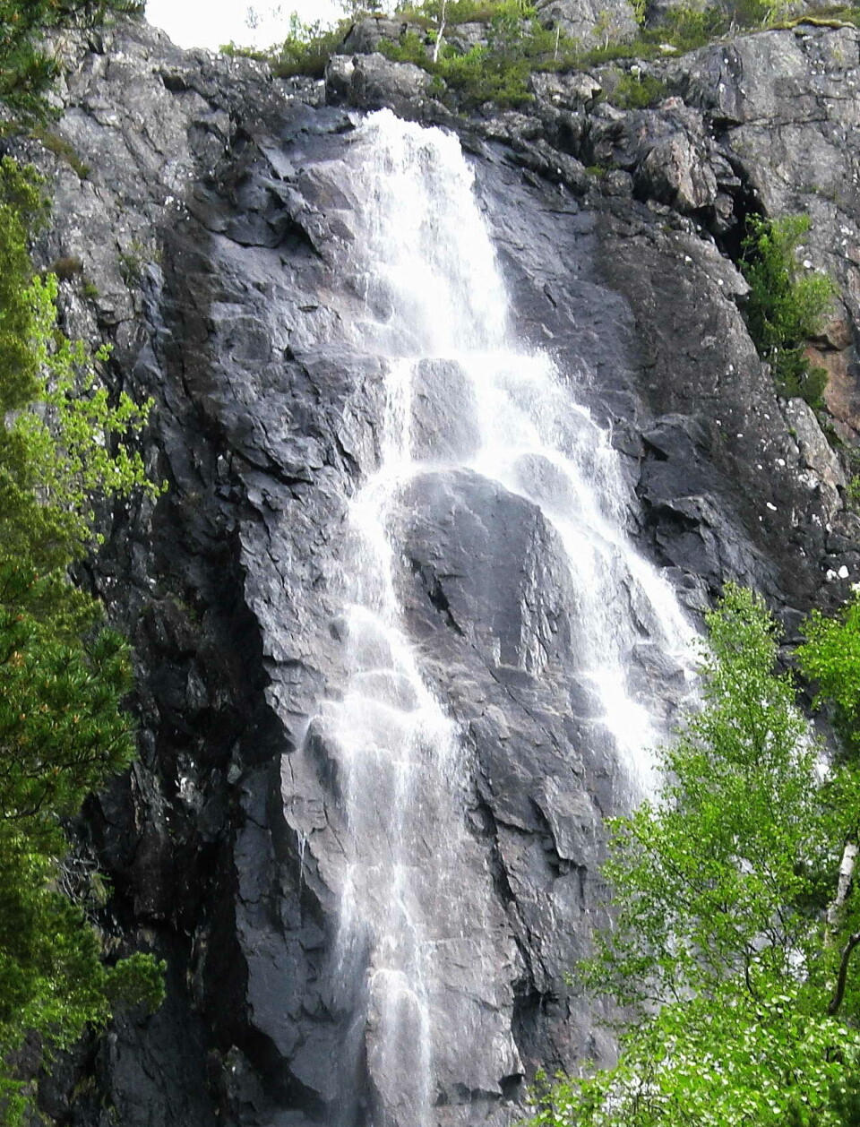 Både opphav og skrivemåte gjer namnet Tjyvåa ved Trodalen til ei lita gåte.