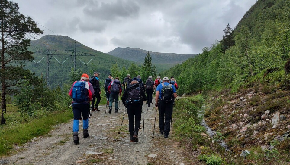 Tirsdagstur til Valsetsetra Ei gruppe turkledde folk som går på en skogsbilvei.