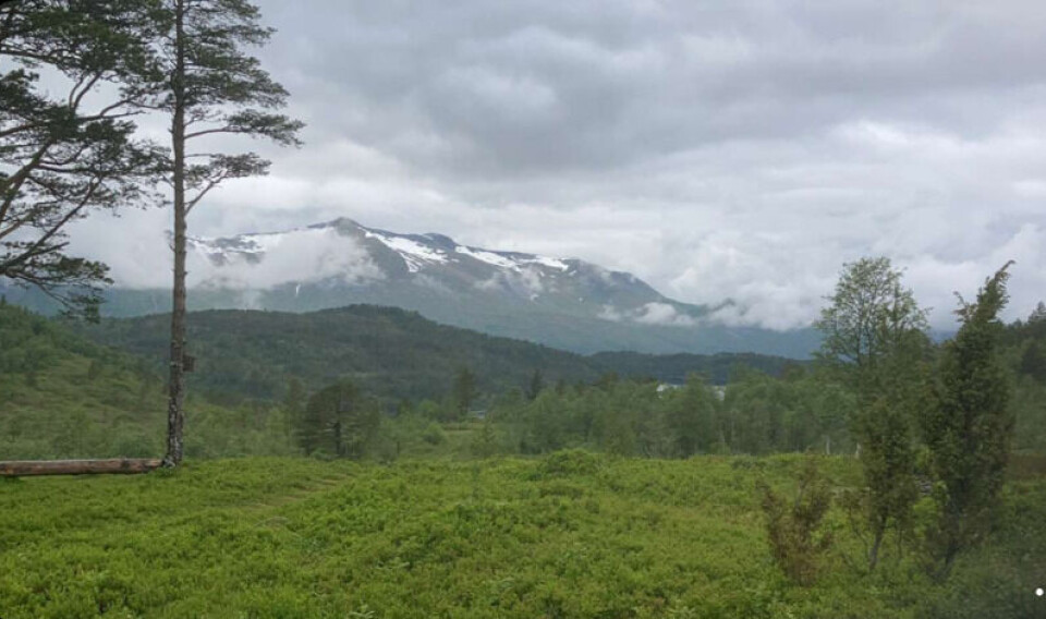 Utsikt fra seterstølen. Utmark med fjell i bakgrunnen.