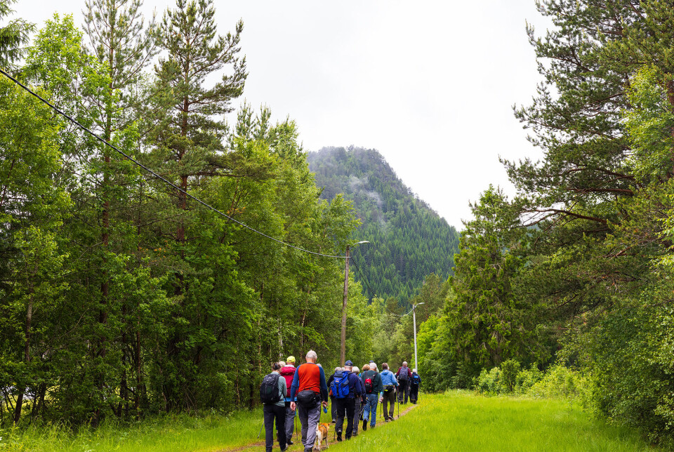 Start på turen frå Leikvoll. Ei gruppe turgåere på rekke og rad på en sti.
