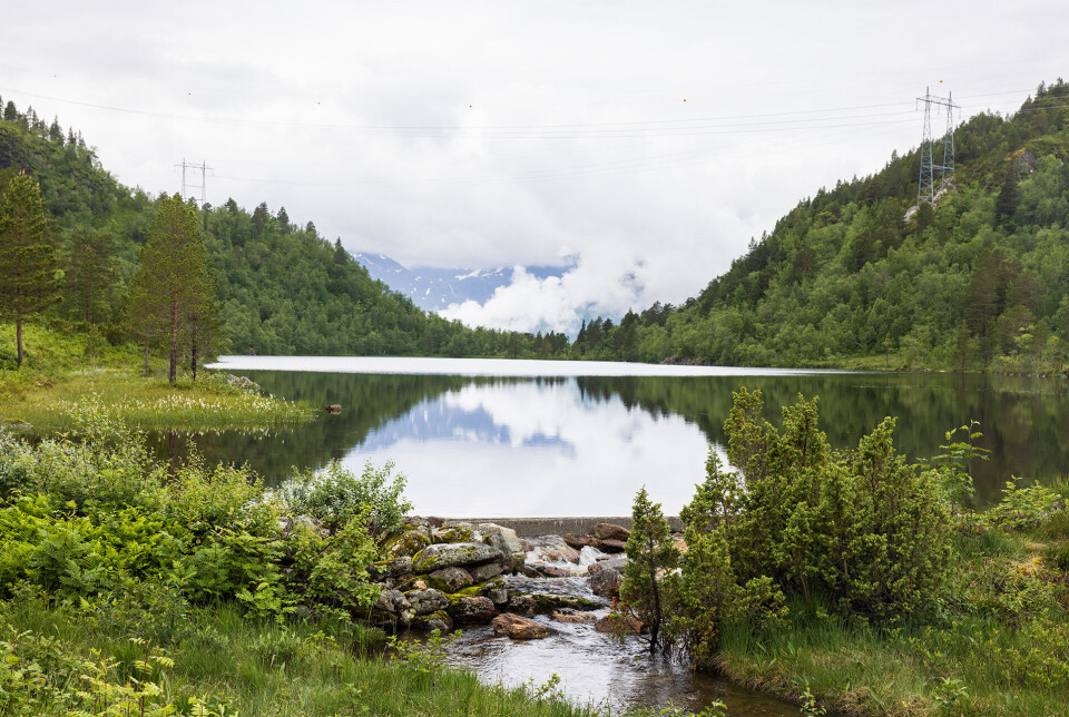 Langs bikkstille Skaudalsvatnet. Et vann i marka.