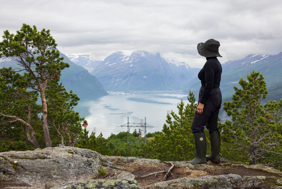 Utsyn over Sunndalsøra, med fjorden og mektige fjell rundt. Ei dame med hatt, som står over ser på utsikt over fjord og fjell.