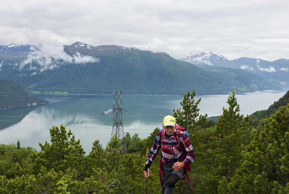 Sunndalsfjorden, Flåøya og Tingvollfjorden bak Karihaugen. En turkledd mann med gåstaver på fjellet.