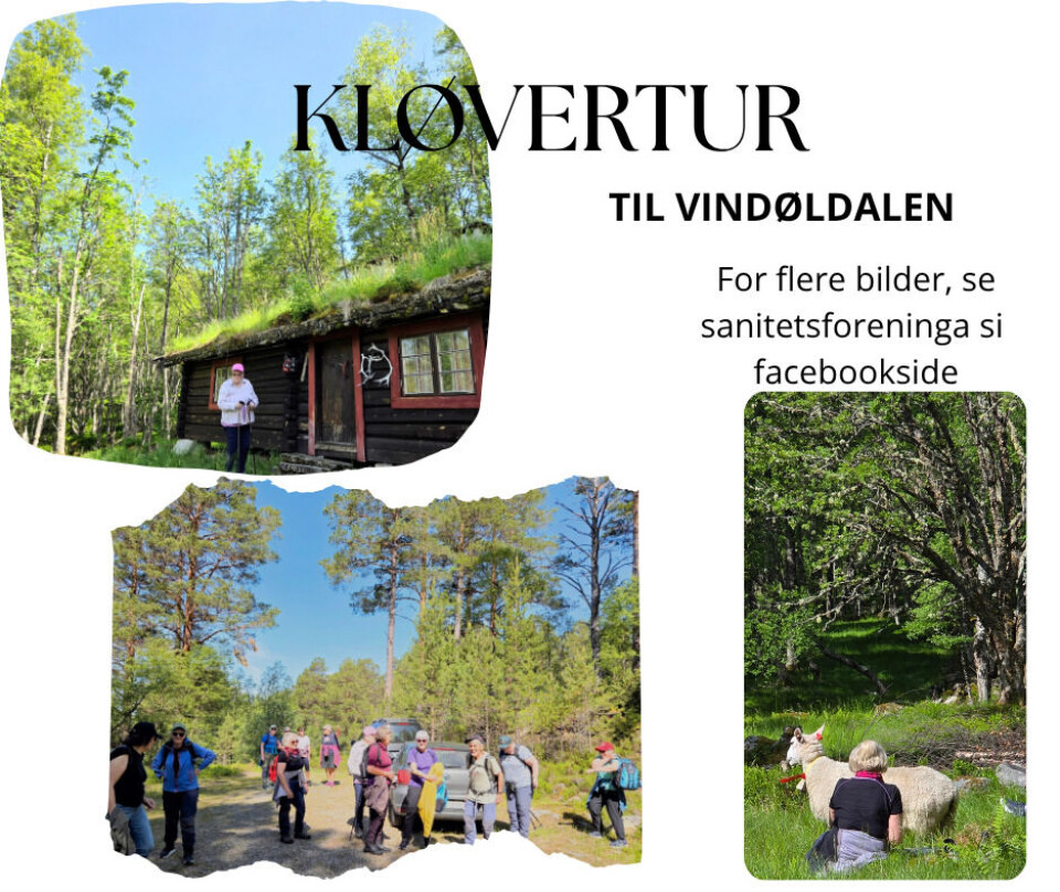 Tur til Vindøldalen i flott sommervær Tre bilder av folk på tur ved seter og sau