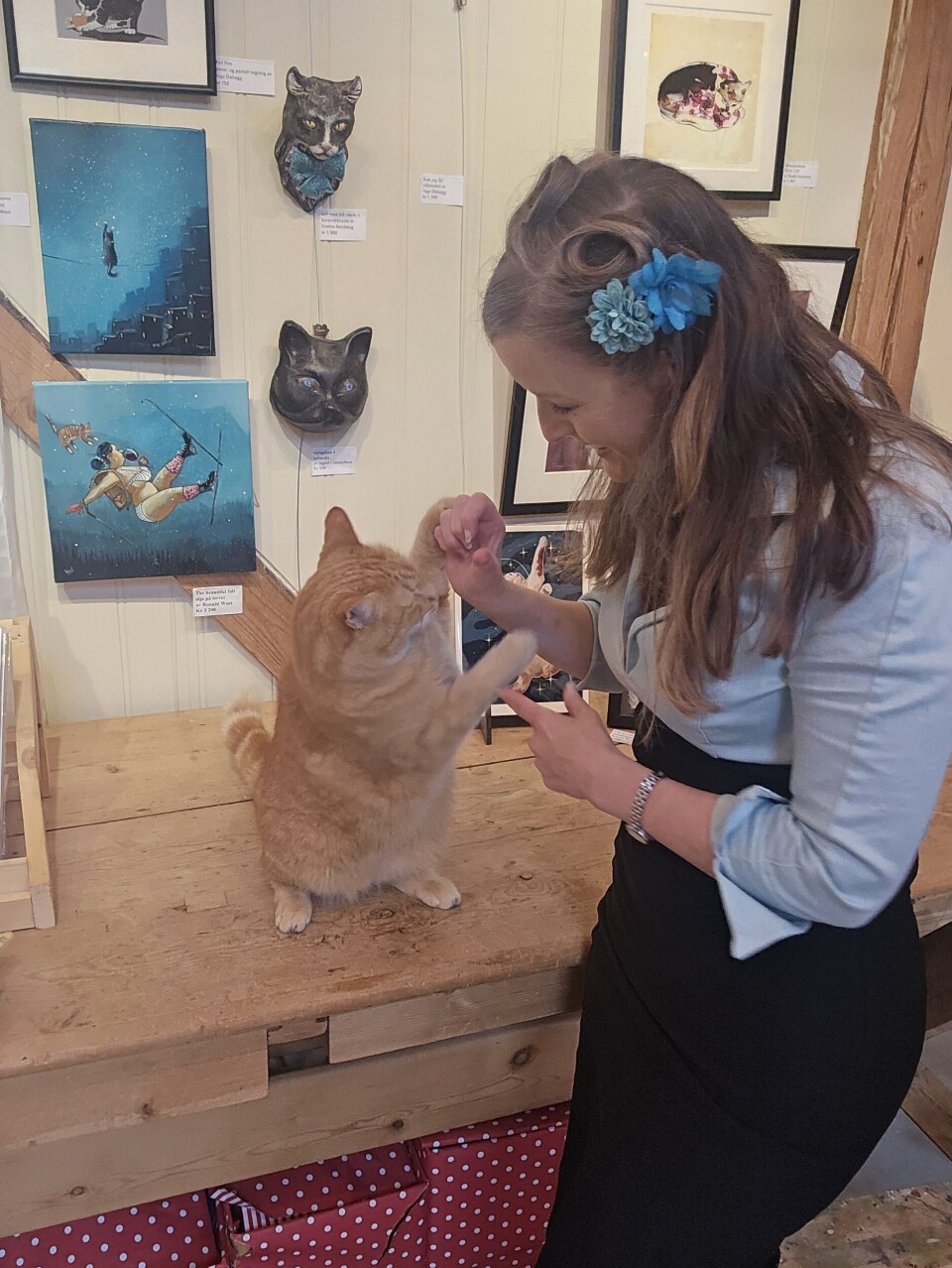 Pusur får en godbit Dame med katt