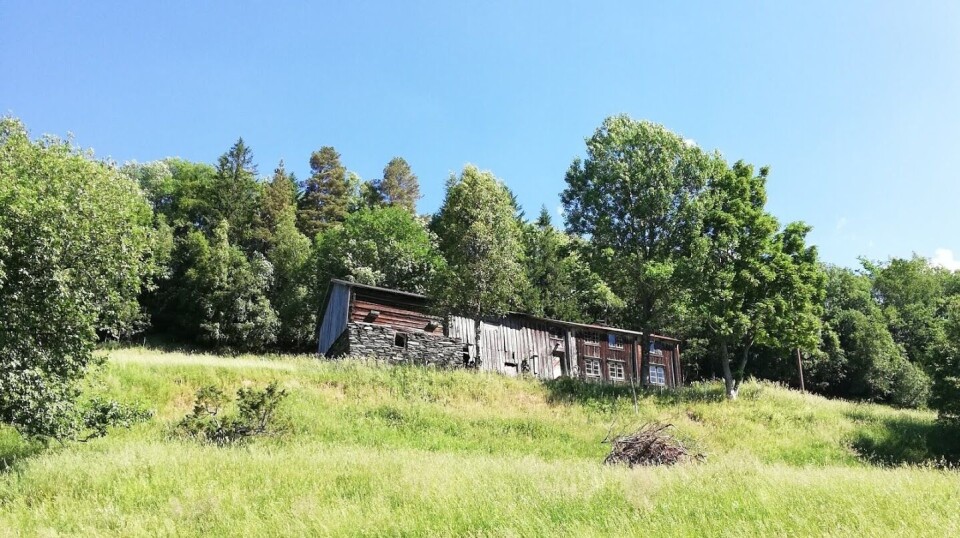 Kulturhistorisk vandring til Rønningen er avlyst og vil sannsynligvis bli arrangert i juli.