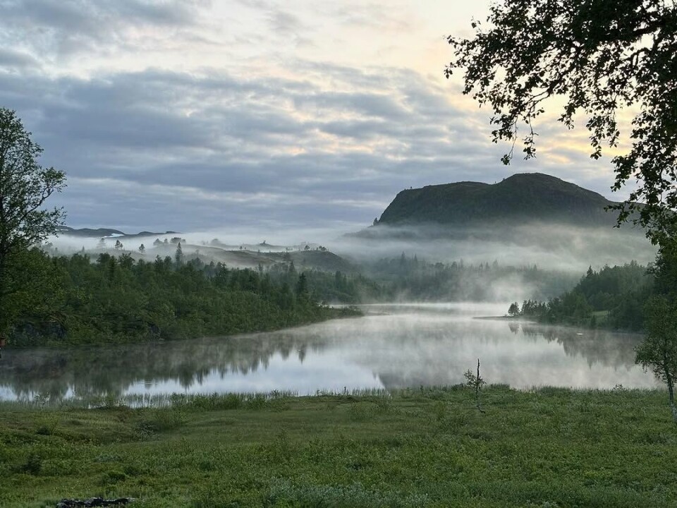 Snausskodda kjæm sigæinj. Tåke over et vatn i marka.
