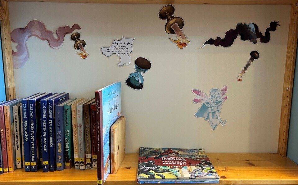 Ekstra dekorasjoner i hyllene. Noe kan også være gjemt blant bøkene. Ei hylle på et bibliotek.