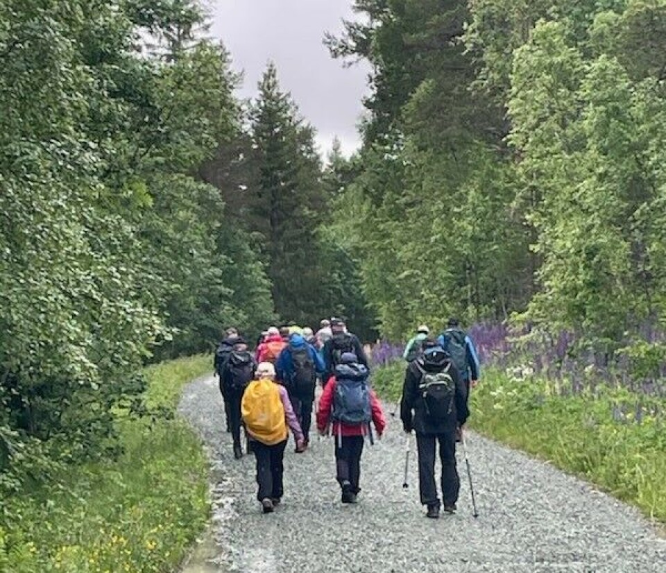 Fin og tørr vei over Furuhaugmarka. Flere turkledde folk som går på en grusvei.