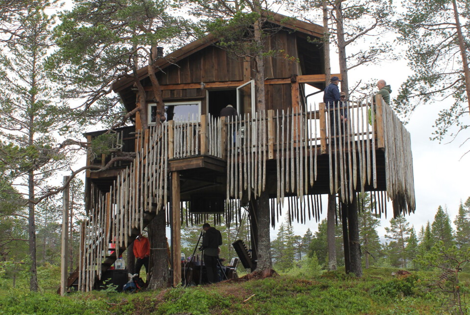 Onsdag arrangerte arbeidsgruppa for friluftslivets år i Rindal og eier Jon Ola Romundstad fellestur til Romundstad Tretopp Panorama.
