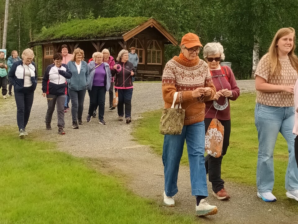 Humørfylt gåstrikk rundt Tjønna Flere damer som går og stikker.