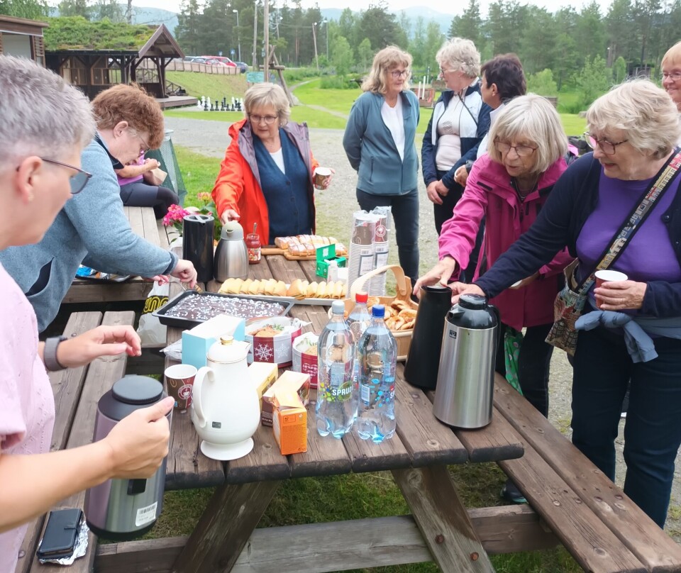 Humørfylt gåstrikk rundt Tjønna Flere damer som forsyner seg med mat og kaffe fra et rasteplassbord.