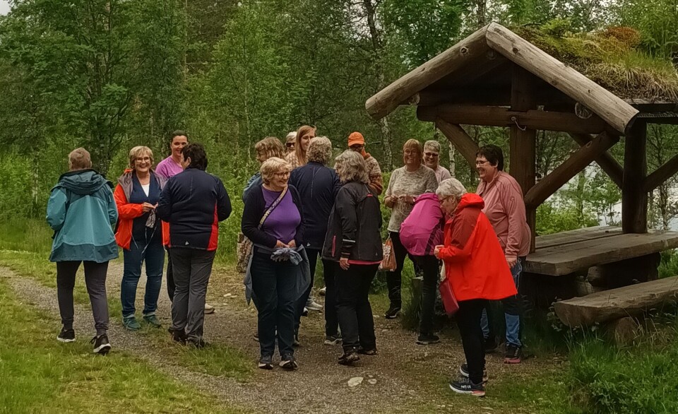 Humørfylt gåstrikk rundt Tjønna Flere damer på en tursti.