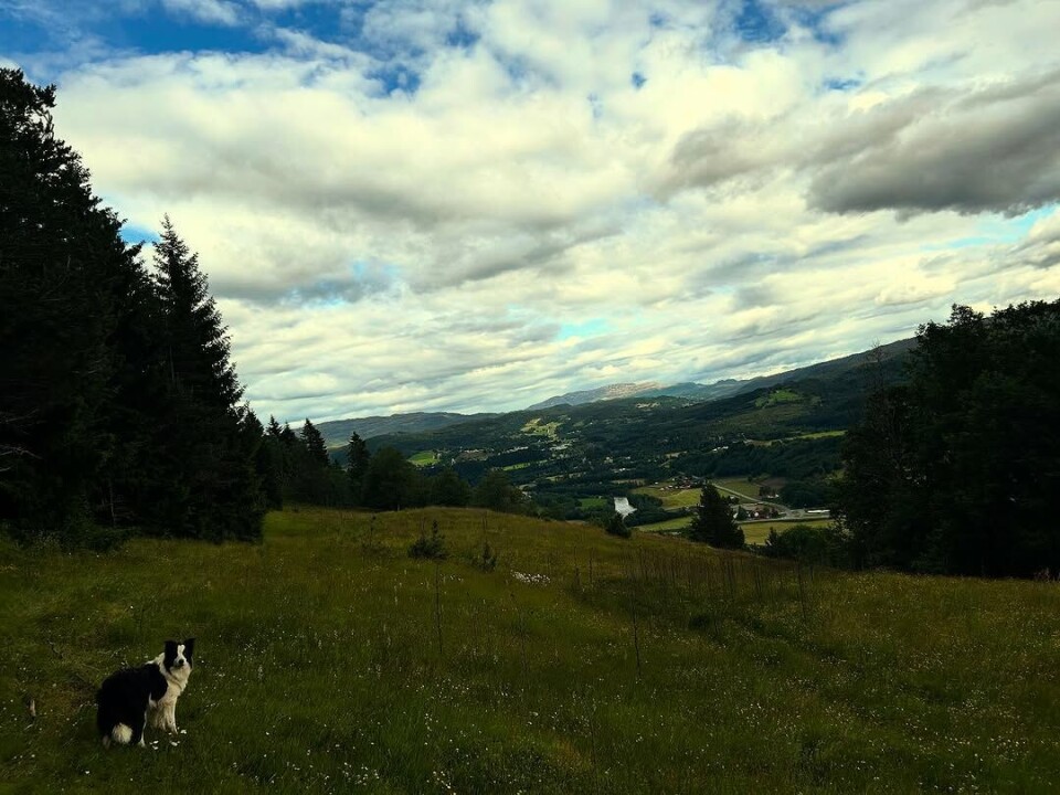 Herlige natur, du gjør oss godt. Rindalen er fin