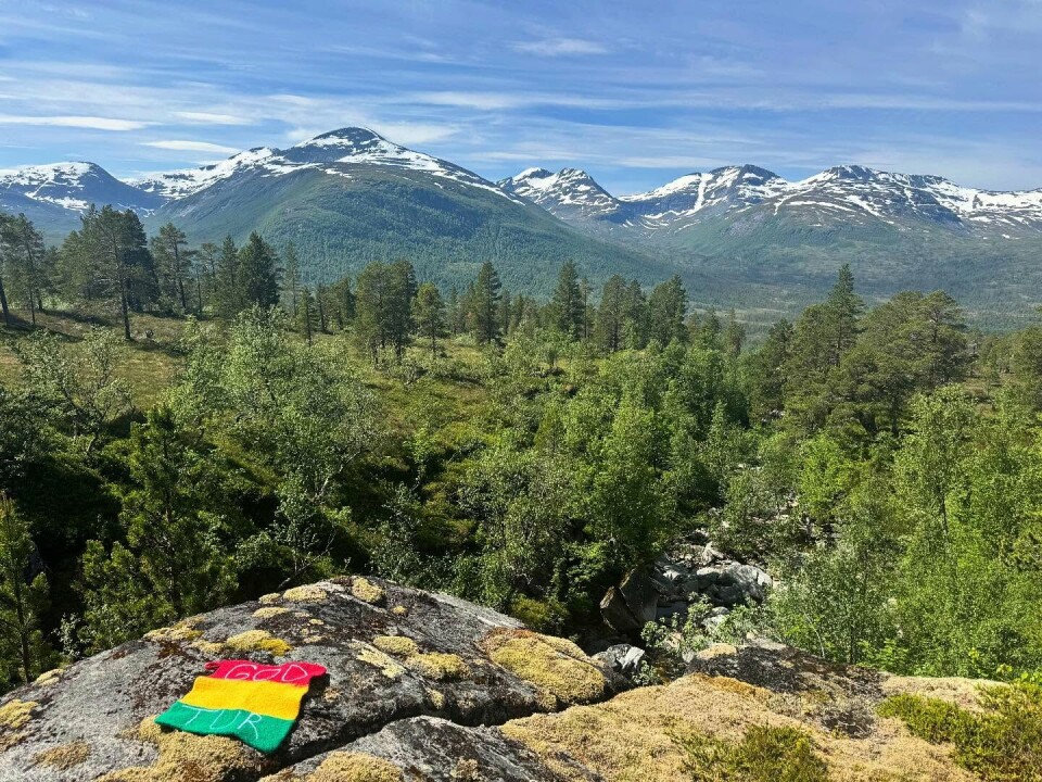 Sommer i Breiskaret i Vindøldalen Utsikt over fjellheimen.