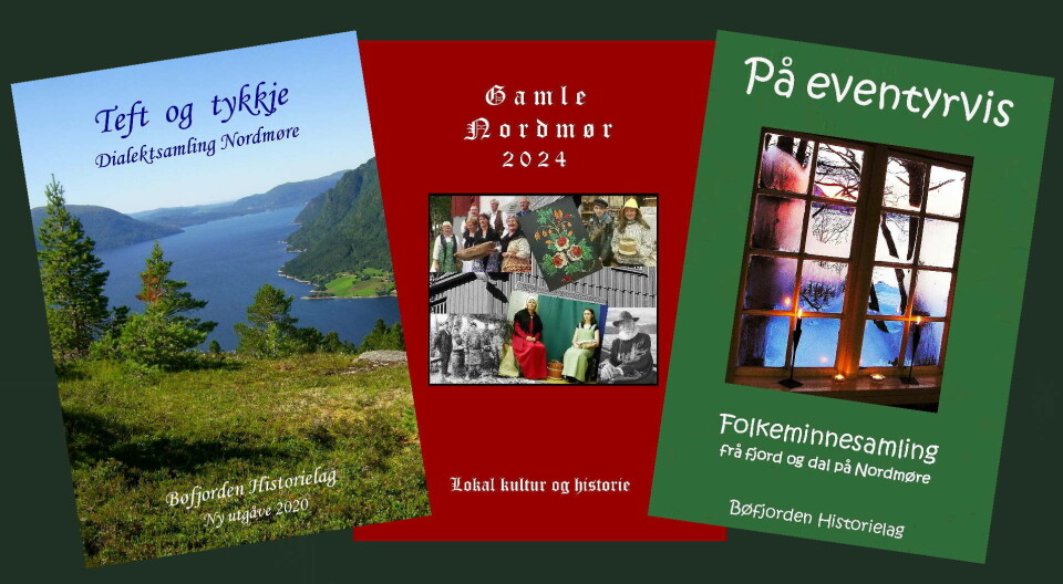 Bøfjorden Historielag gir årleg ut «Gamle Nordmør» og produserer elles dialektsamlinga «Teft opg tykkje» og folkeminneheftet «På eventyrvis». Tre bøker/hefter.