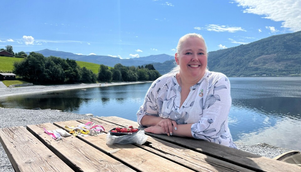 Annett Ranes er opptatt av de demokratiske verdier i samfunnet. Ei dame som sitter ved et rasteplassbord.