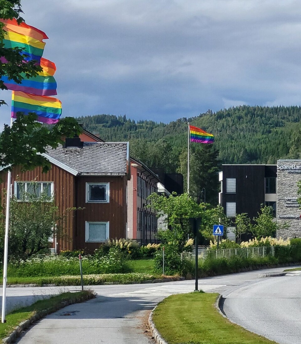 Flott Pride-feiring med mange regnbueflagg. Flere flaggstenger med regnbueflagg langs en veg.