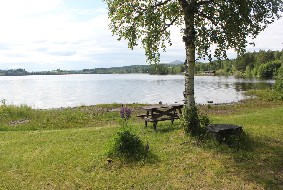 Badeplassen på Grønlivatnet Vel sitt område