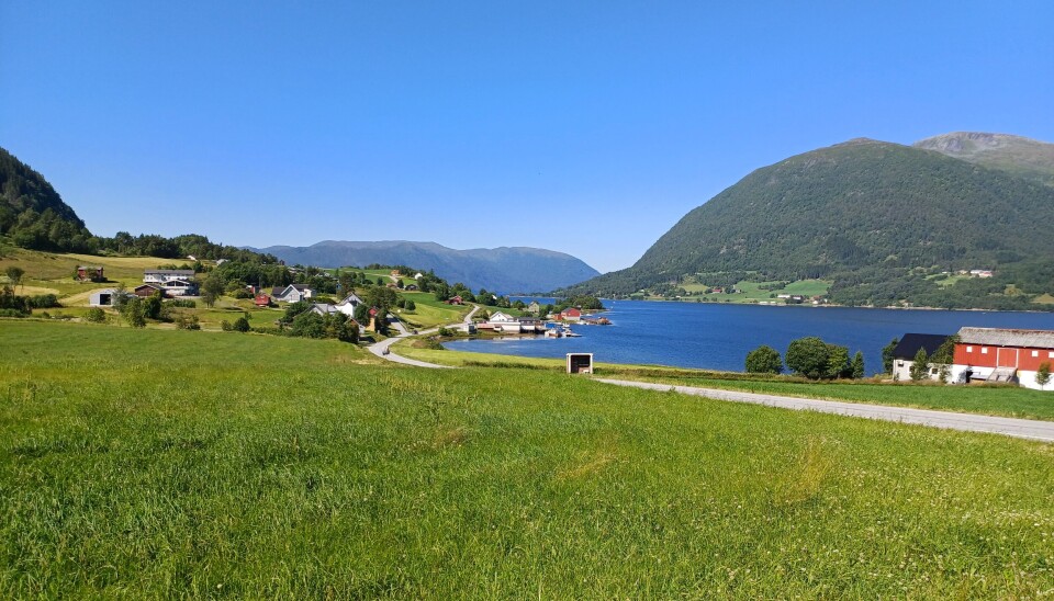 Bøfjorden fra Børeiten mot Blåfjellet og Halsa. Et fjrodlandskap.