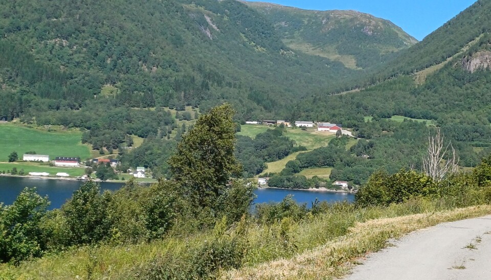 Dragset gård, bildet tatt fra Bølandssiden. Landskapsbilde ved fjorden.