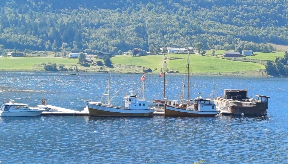 Gamle trefiskebåter ligger utenfor Elvanesset Restaurant Gamle trefiskebåter fortøyd ved kai.