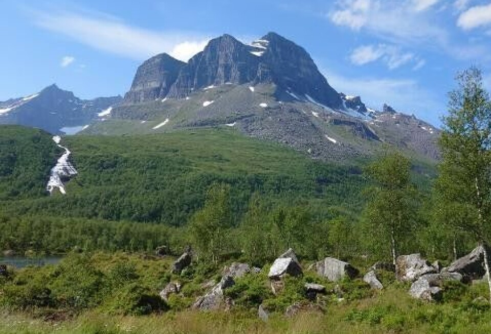 Skarfjellet i Innerdalen. Et fjell.