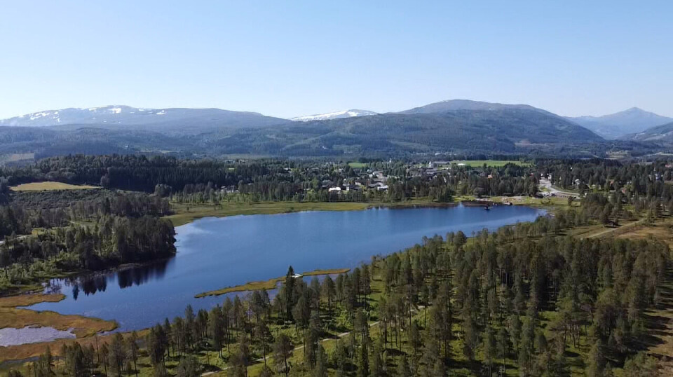 Dronefoto av Igltjønna en varm sommerdag. Dronefoto over et tjern med skog og bebyggelse rundt, og fjell i bakgrunnen. Blå himmel.
