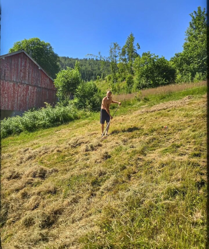 I slåttatæja #settemsdalen #bøfjorden En godt voksen mann i bar overkropp og shorts som går med rive og vender høy som tørker i en skråning. I bakgrunnen en gammel værbitt låve blå himmel og solskinn.