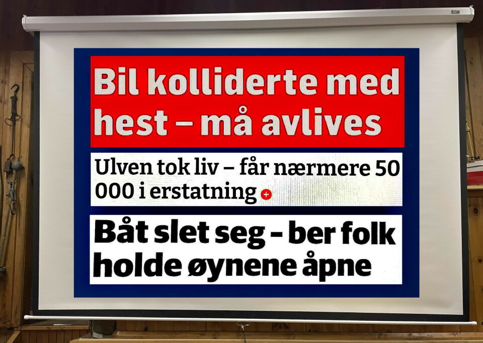 Kven er subjekt i desse presseklippa?