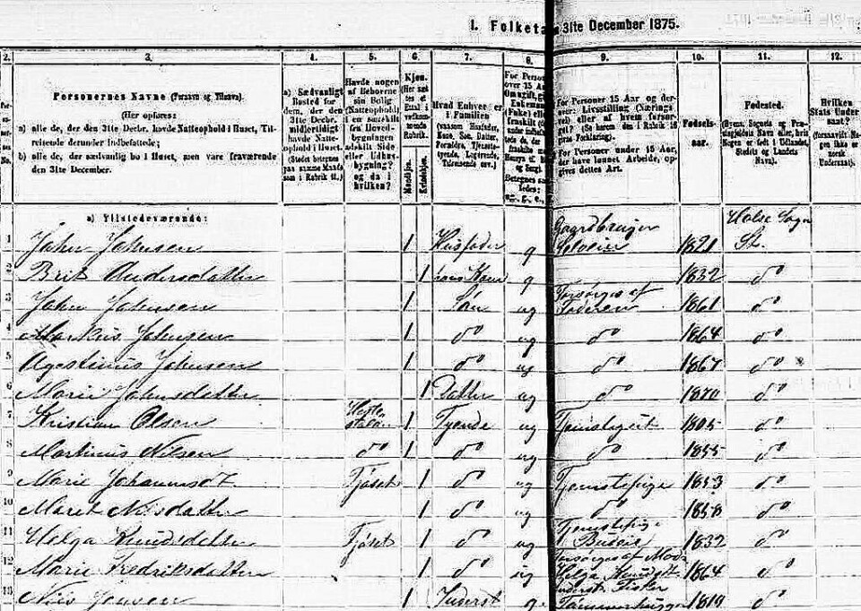 Folketeljinga frå Heggem i 1875 viser eit folkhus på i alt 17 personar. Her er nokre av dei – John er Gaardbruger og Selveier, Helga Budeie og Nils både Fisker og Tømmerhugger.