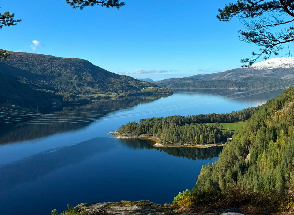 Svinvik