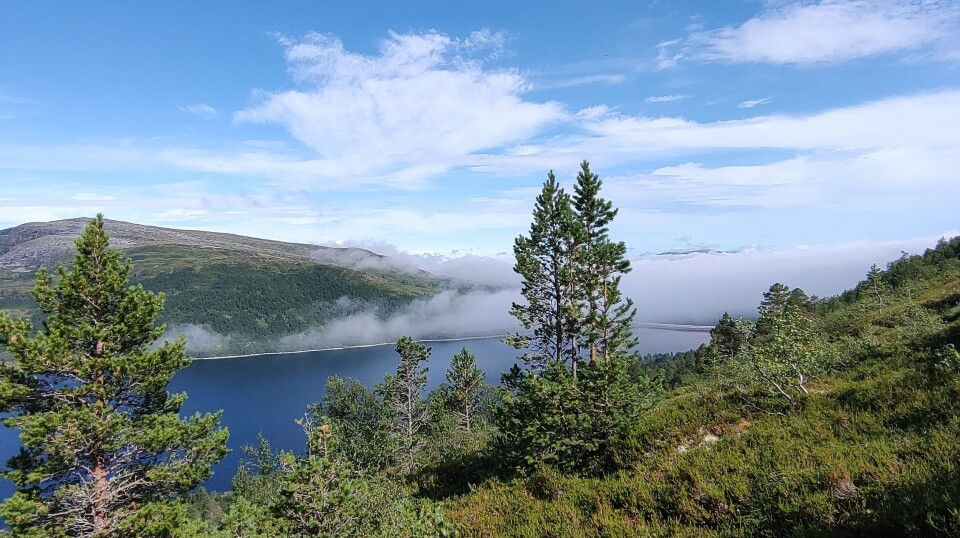 Tirsdagstur