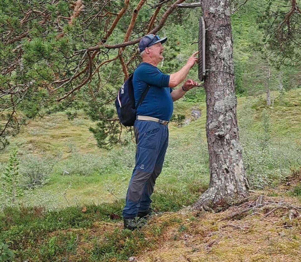 Alf Strand ved Kronblomsteinen Mann står ved en furu med en treplakett