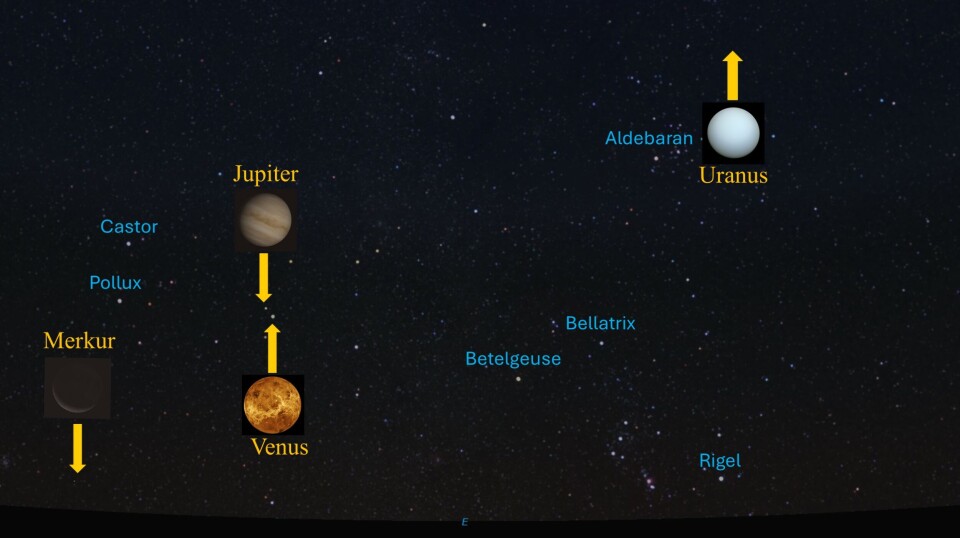 Slik vil østhimmelen fortone seg fra Sør-Norge kl. 04.30 på morgenen 12. august. De svært lyssterke og iøynefallende planetene Venus og Jupiter står tett sammen, men også Merkur kan ses uten kikkert. For å se Uranus trengs en liten kikkert siden den er 2,9 milliarder kilometer unna. Bilde av plakat med planeter med navn og piler