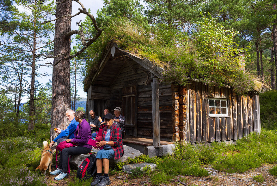 Matpause ved skogskoie Mennesker i turklær har pause ved koie i skogen