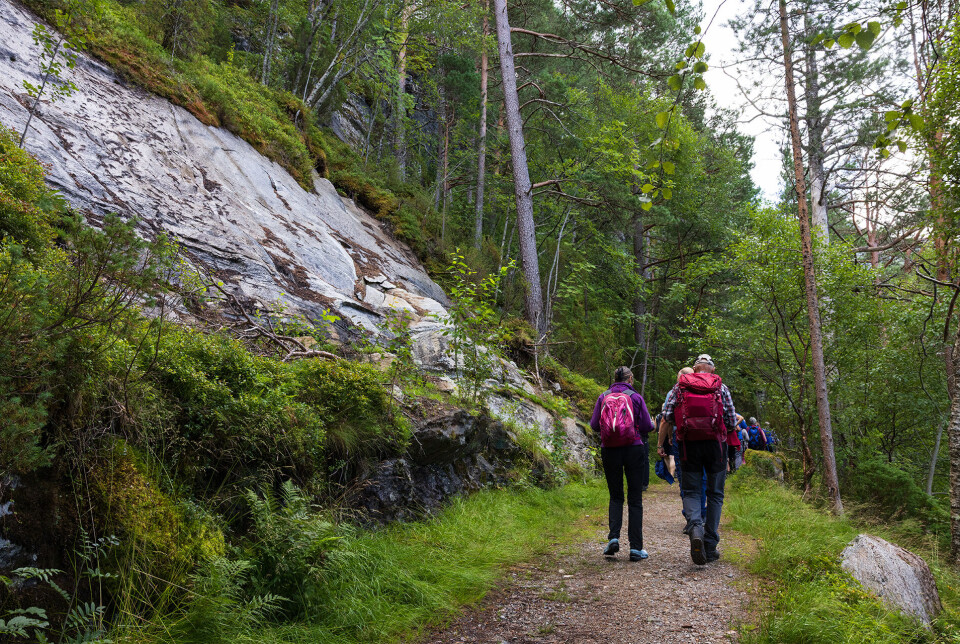 Eldste bygdeveg til Todalen To mennesker går tur på en sti